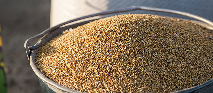 Feeding Starving Children food donation for children